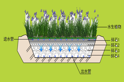 人工湿地技术